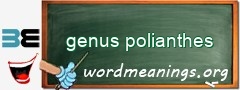 WordMeaning blackboard for genus polianthes